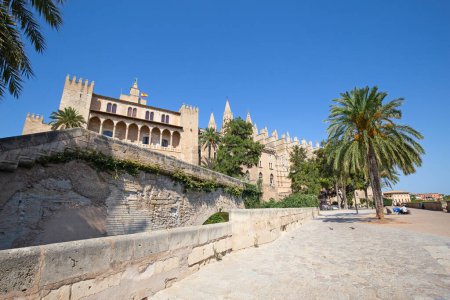 Téléchargez les photos : La cathédrale principale de la ville de Palma de Majorque en Espagne - en image libre de droit