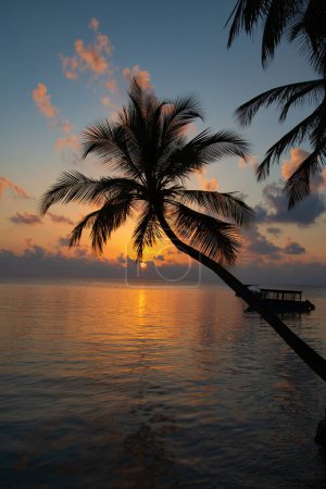 Photo for Maldivian island. Paradise in tropics. - Royalty Free Image