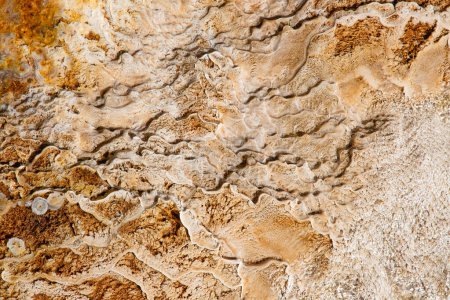 Photo for Mammoth hot springs in the Yellowstone National Park, Wyoming, USA - Royalty Free Image