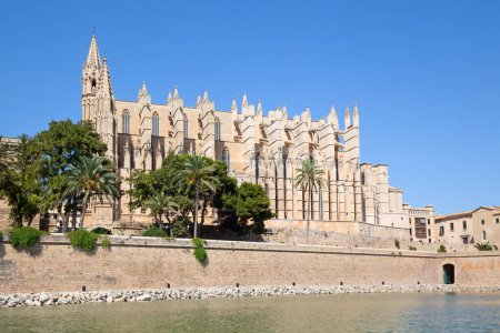 Foto de Catedral principal de la ciudad de Palma de Mallorca en España - Imagen libre de derechos
