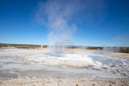 Photo for Lower geyser basin in the Yellowstone National park, USA - Royalty Free Image