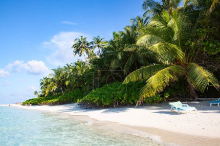 Photo for Maldivian island. Paradise in tropics. - Royalty Free Image