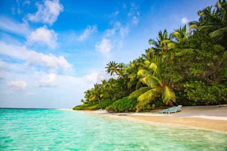 Téléchargez les photos : L'île des Maldives. Paradis sous les tropiques. - en image libre de droit