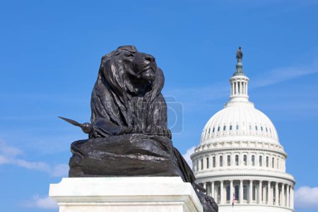 Téléchargez les photos : Capitole américain à Washington DC (District de Columbia), États-Unis d'Amérique - en image libre de droit