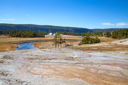 Photo for Yellowstone national park, USA - Royalty Free Image