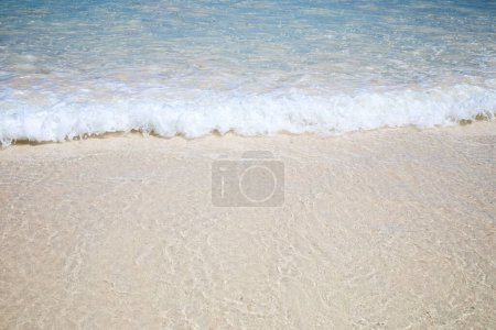 Photo for Crystal clear water of the tropical sea - Royalty Free Image