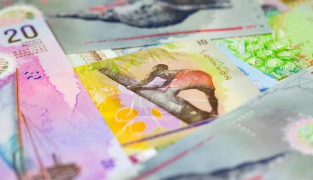 Téléchargez les photos : Banknotes of the Maldives (Maldivian rufiyaa) - en image libre de droit