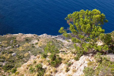 Téléchargez les photos : Célèbre "Cap de Formentor" (cap Formentor) sur l'île espagnole de Majorque - en image libre de droit
