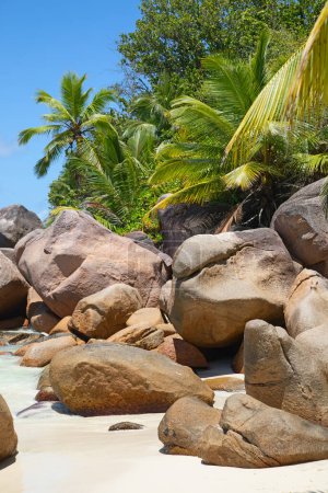 Foto de Famous Anse Lazio beach on the Praslin island, Seychelles - Imagen libre de derechos