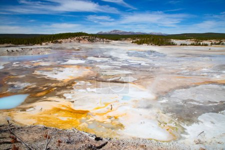 Téléchargez les photos : Bassin de geyser Norris dans le parc national de Yellowstone, États-Unis - en image libre de droit