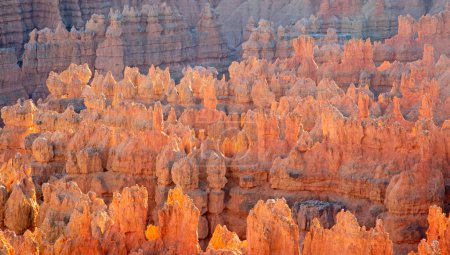 Téléchargez les photos : Parc national de Bryce canyon dans l'Utah, États-Unis - en image libre de droit