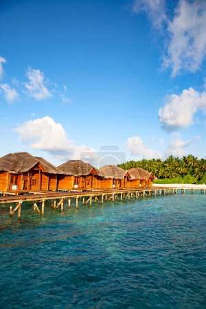 Téléchargez les photos : L'île des Maldives. Paradis sous les tropiques. - en image libre de droit