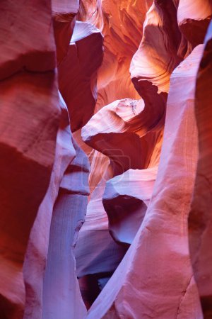 Photo for Famous Antelope canyon near Page, Arizona - Royalty Free Image
