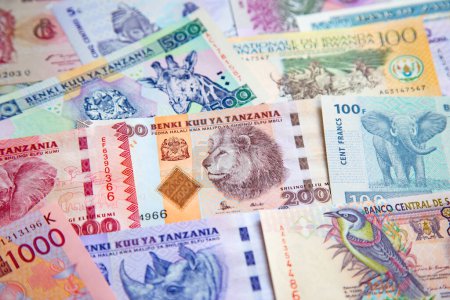 Foto de Variedad de los billetes africanos - Imagen libre de derechos