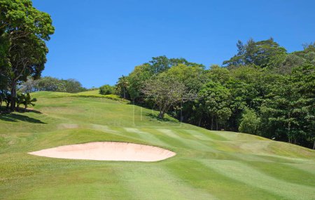 Photo for Golf course on the Praslin island, Seychelles - Royalty Free Image