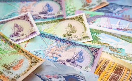 Foto de Collection of the Maldives rufiyaa banknotes - Imagen libre de derechos