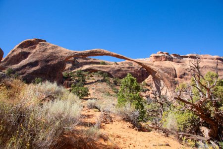 Photo for Landscapes of the Arches National park, Utah, USA - Royalty Free Image