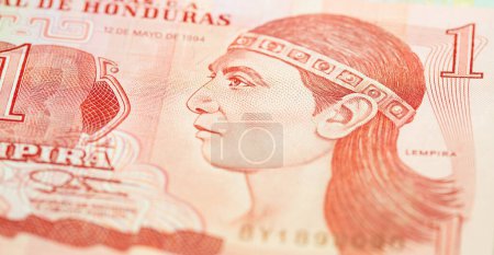 Foto de Variedad de billetes sudamericanos - Imagen libre de derechos