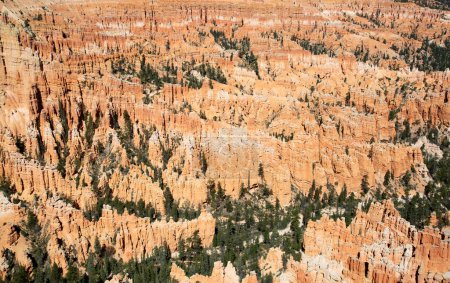 Foto de Parque nacional del cañón de Bryce en Utah, EE.UU. - Imagen libre de derechos