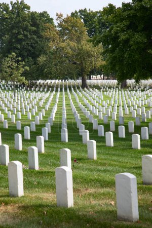 Foto de Cementerio nacional de Arlington en Washington DC, Estados Unidos de América. Cementerio militar establecido durante la Guerra Civil y ampliado para albergar las cuevas de mundo, Vietnam, Corea y otras guerras - Imagen libre de derechos