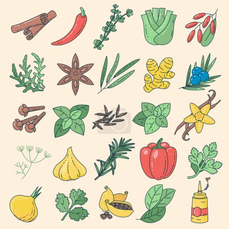 Illustration for Herbs and spices hand drawn vector illustration. Aromatic plants and seeds sketch. Vintage icons and menu design element set. - Royalty Free Image