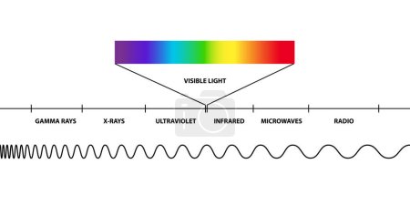Ilustración de Región de luz visible del espectro electromagnético, visible para el ojo humano, radiación electromagnética, baja, alta, ondas de radio, microondas, rayos gamma, rayos X, ultravioleta, infrarrojos - Imagen libre de derechos