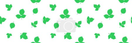 Illustration for Fresh Herbal leaves background, web banner, green and white seamless pattern background, tag, label decor - Royalty Free Image