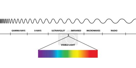 Ilustración de Frecuencias, Región de luz visible del espectro electromagnético, visible para el ojo humano, radiación electromagnética, baja, alta, ondas de radio, microondas, rayos gamma, rayos X, ultravioleta, infrarrojos - Imagen libre de derechos