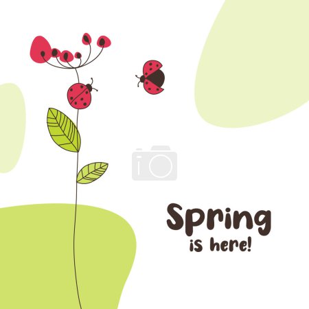 Spring is here. Two ladybugs drawing. Celebration greeting card.