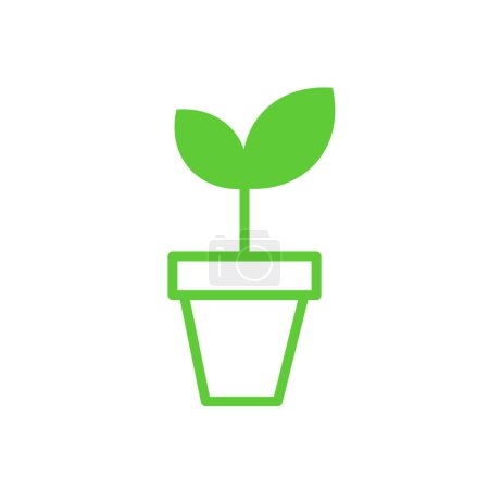 Illustration for Potted plant, isolated on white background - Royalty Free Image