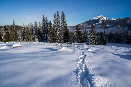 Photo for Footprints in the deep snow. Winter in Tatra Mountains. Poland. Winter adventure concept. - Royalty Free Image