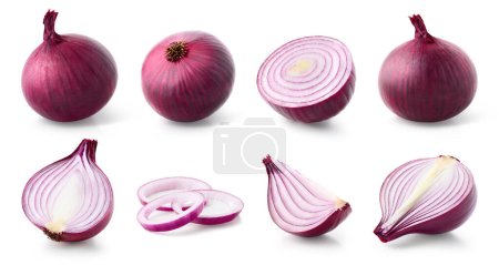 Set of various whole and sliced red onions isolated on white background