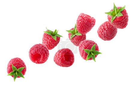 Photo for Various falling fresh ripe raspberries isolated on white background, horizontal composition - Royalty Free Image
