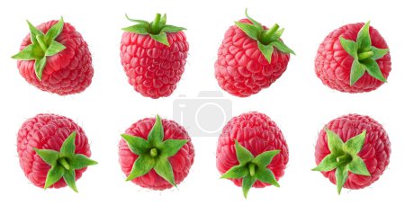 Téléchargez les photos : Collection or set of various fresh ripe raspberries isolated on white background. Different angles - en image libre de droit