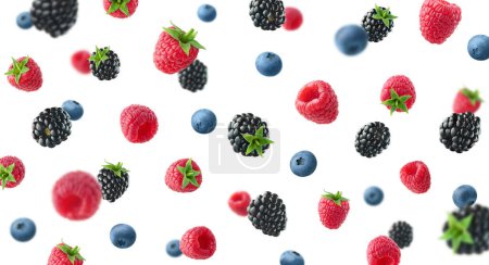 Foto de Collection of various falling fresh ripe wild berries isolated on white background. Raspberry, blackberry and blueberry from different angles - Imagen libre de derechos