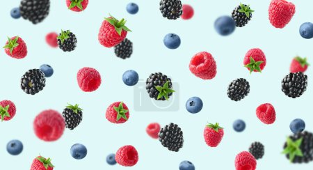Photo for Colorful berry pattern of various fresh ripe wild berries on light blue background. Raspberry, blueberry and blackberry - Royalty Free Image