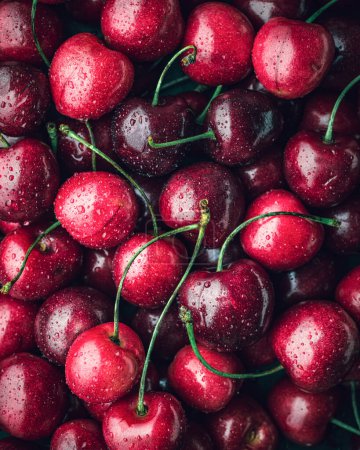 Photo for Close-up of ripe fresh red cherries. Cherry background - Royalty Free Image