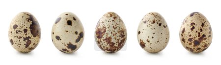 Photo for Set of five fresh quail perpaline eggs isolated on white background - Royalty Free Image
