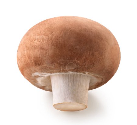 Photo for One whole fresh brown champignon mushroom isolated on white background - Royalty Free Image