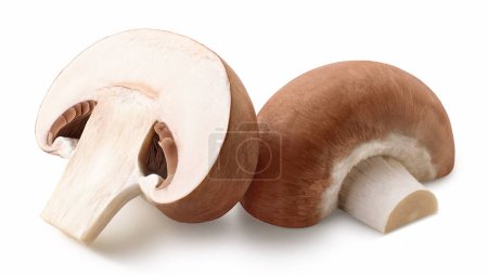 Téléchargez les photos : Deux moitiés fraîches de champignon brun isolé sur fond blanc - en image libre de droit