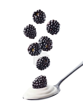 Photo for Spoon of fresh greek yogurt and falling blackberries isolated on white background - Royalty Free Image