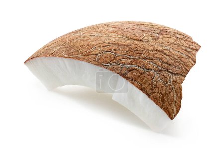 Téléchargez les photos : Un morceau de noix de coco fraîche mûre isolé sur fond blanc - en image libre de droit