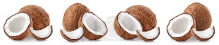 Photo for Set or collection of fresh ripe whole and half coconut isolated on white background - Royalty Free Image