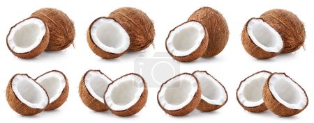 Foto de Set o colección de coco fresco maduro entero y medio aislado sobre fondo blanco - Imagen libre de derechos