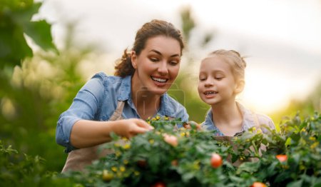 Photo for Happy mother and daughter gardening in the backyard. Kid helping her mom and learning botany. - Royalty Free Image