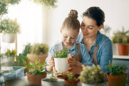 Téléchargez les photos : Petite fille mignonne aidant sa mère à prendre soin des plantes. Maman et sa fille font du jardinage à la maison. Bonne famille au jour du printemps. - en image libre de droit