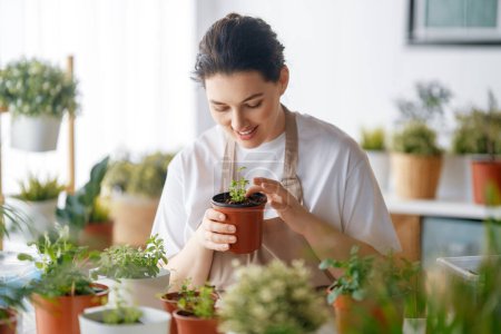 Foto de Mujer cuidando plantas en casa en el día de primavera. - Imagen libre de derechos