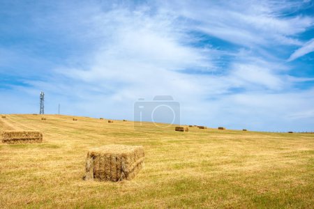 Téléchargez les photos : Vue de champ sur une colline avec balles de foin et tour. Shropshire, Angleterre, U - en image libre de droit