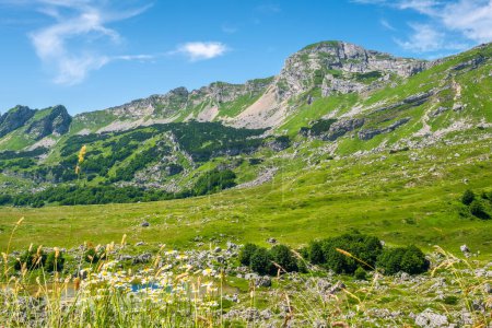 Téléchargez les photos : Paysage naturel avec petit lac et chaîne de montagnes dans le parc national Durmitor. Monténégro - en image libre de droit