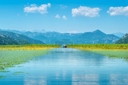Téléchargez les photos : Voie navigable sur le pittoresque lac Skadar. Province de Cetinje, Monténégro - en image libre de droit